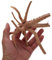 Aquarium-Dekoration für natürliche Baumwurzel, versenktes Holz, Mikro-Landschaftsdekoration, 10/15/20/25 cm, verstecken Sie sich für Fischablage und Kies, Kies, Quallen, Quallen, leuchtende Stücke