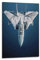 F-14 Militär-Kampfflugzeug-Poster, Motiv: Tomcat Fighter Jet, dekorative Leinwand, Familie, Schlafzimmer, Kunstwerk, Bild, Gemälde, 50 x 75 cm