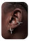 BodyBonita Septum con Pinchos 16G - Acero Inoxidable 316L Nariz Aro Helix Tragus Daith Conch Rook Oreja Pendientes Aros Plata 8mm Estilo Cinco - Hombre Mujer