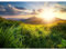 Runa Art Fototapete Berge Grass 352 x 250 cm Vlies Tapeten XXL Moderne Wandtapete Wohnzimmer Schlafzimmer Grün Gelb Blau 9103011a