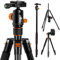 TARION Q550 Treppiede professionale con testa fluida a 360°, visione panoramica completa con piastra a sgancio rapido, per videocamere DSLR e studio fotografico Lightweight Compact Tripod (Q550)