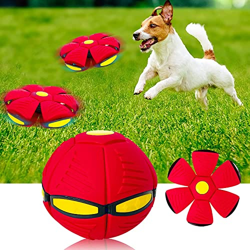 KONGNY Pelota de platillo volador 2023 para perros, juguete para mascotas, bola de platillo volador, bola OVNI para perro, bolas grandes y pequeñas, juguete para perro, frisbee Scooby Doo (rojo)