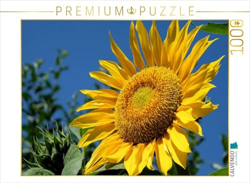CALVENDO Puzzle Sonnenblume | 1000 Teile Lege-Größe 64 x 48 cm Foto-Puzzle für glückliche Stunden