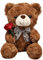 Cpoeof TeddybäR PlüSchtier füR Valentinstag, Niedlich 9,8 TeddybäR PlüSchtier mit Rose Weiche Kleine Kuschelige BäR Spielzeug, Geschenke füR Freund Freund Freund(Brown)