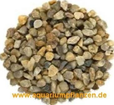 5 kg Aquarienkies hell 4-8 mm, Aquarium, Kies
