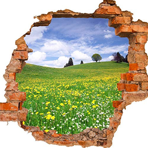 wandmotiv24 Adesivo da Parete 3D Prato Estivo, Design 02, 60x55cm (BxH), Decorazione, murale, Finestra, Apertura, varco M0335