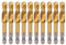 HSS Tap, 10 Stück M10 Hochgeschwindigkeitsstahl-Ti-beschichtetes Zusammen Gesetztes Spiral Flöte Hex Schaft-Schraub Bohrer Set