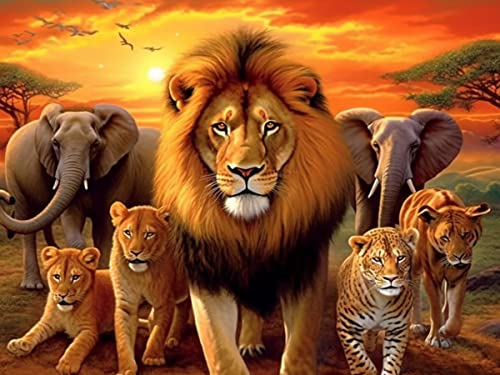 Bimkole DIY 5D Diamond Painting Zubehör Löwe Und Elefant, Tier-Tiger Diamant Malerei Kit Voll Runde Bohrer Malen nach Zahlen Malerei Stickerei Kreuzstich Diamond Dekoration 30X40 cm