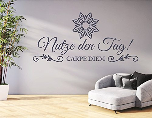 tjapalo® dGR-pkm55 Wandtattoo Wohnzimmer Wandtatoo Carpe Diem Wandaufkleber Spruch Nutze den Tag Wandsticker (B100 x H34 cm)