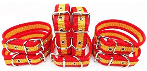 Collar para Perros España Doble Cinta Ancho 3cm - Longitud - 50cm