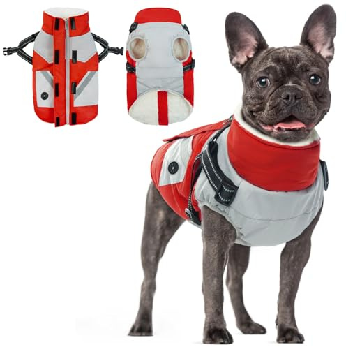 Hundemantel mit Geschirr Kleine Hunde, wasserdichte Hundemantel Jacken Kleine Hunde Gepolstert Puffer Winter Warm Hund Kleidung Thermomantel Hunde Hundemantel Französische Bulldogge(Rot, S)