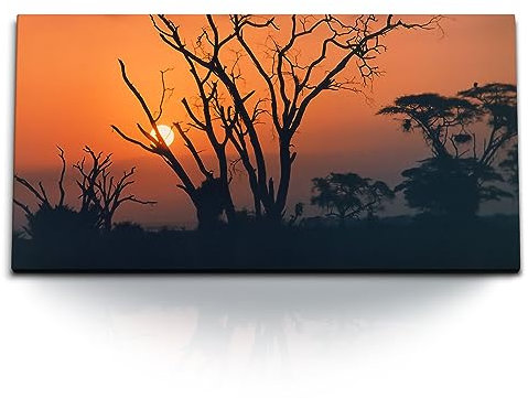 Paul Sinus Kunstdruck Bilder 120x60cm Afrikanische Landschaft Sonnenuntergang Bäume Afrika