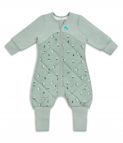 Love To Dream Sleep Suit, 2.5 TOG Premium Organic Cotton & Merino Wool Wearable Blanket, Long Sleeve Winter Sleepsuit, Hip-Healthy Design, Green Lamb's Best Friend, 12-24 Months
