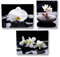 Geschenkestadl 3 er Set Wandbild blühende Orchidee auf Stein je 30cm x 40cm Leinenbild Feng Shui