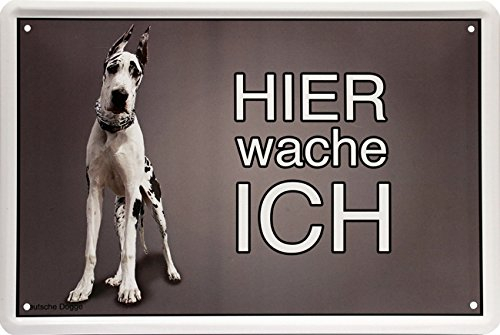 Retro Blechschild - Hier wache ich ! Deutsche Dogge Hund - witziger Spruch als Geschenk-Idee zum Geburtstag Weihnachten zur Dekoration 20x30 cm Vintage-Design aus Metall 1401