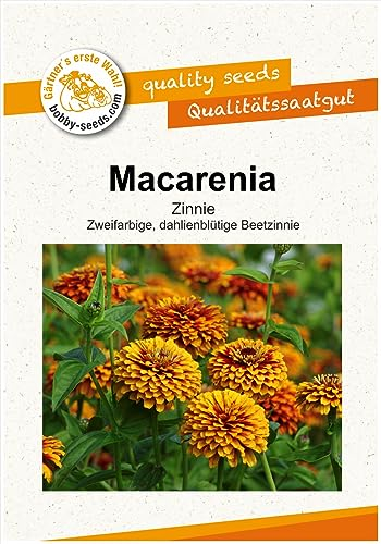 Blumensamen Macarenia Zinnie Portion