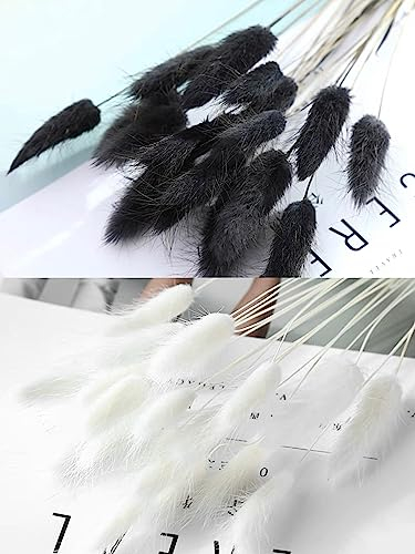 Lagurus Bunny Tails Pampasgras Dekor für Heimdekoration, Kuchendekoration, Kaninchenschwänze, getrocknete Blumen, Blumenstrauß für Boho-Dekoration, Tischdekoration, Schlafzimmer-Dekoration, 60 Stiele,