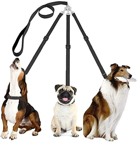 Leine für 3 Hunde, 3-𝒊𝒏-1 Welpenleine Hundeleine Leine, Hundeleine Nylon Kleine Hunde, Koppelleine Hundeleine Flexi, 𝑽𝒆𝒓𝒔𝒕𝒆𝒍𝒍𝒃𝒂𝒓 53-88cm, für Kleine MittelgroßE Katzen