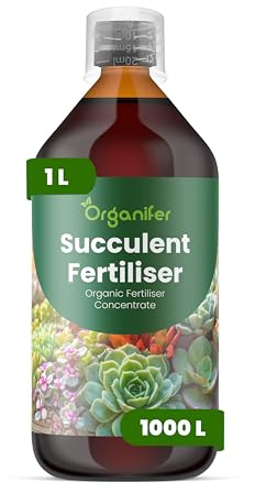Fertilizzante Liquido Per Succulenta 1L – Concime Organico Per Crescita Sana E Fogliame Carnoso – Rafforza Radici E Vitalità – Organifer