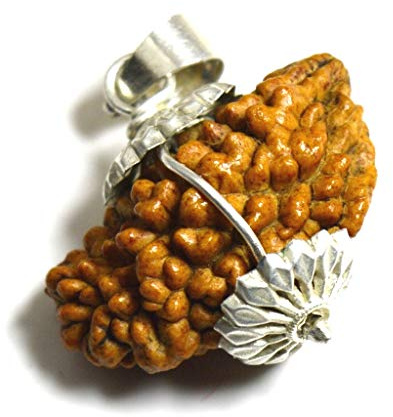 55Carat Original One Mukhi 1 Gesicht Natürliche Nepali Rudraksha Perlen Silber Anhänger Astrologie Schmuck für Männer Frauen