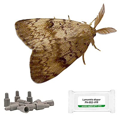 IPM Direct Pack of 3 Moth Trap Attractant Pheromones (Gypsy Moth)