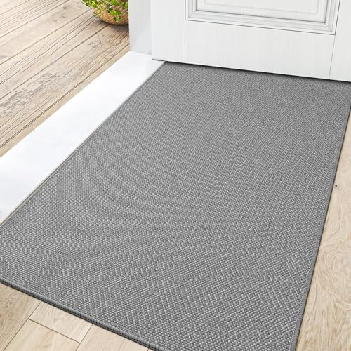 DEXI Fußmatte Innen 80 x 120cm, rutschfest Schmutzfangmatte, waschbar Fussmatte, Dünne Eingangstürmatte, Strapazierfähige Türmatte für Innenbereich, Hellgrau