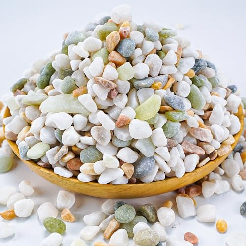 TOYPOPOR Pierres décoratives de couleurs mélangées pour plantes, gravier de jardin, pierres blanches avec accents jaunes et verts pastel, remplissage de vase, pierre naturelle pour plantes en pot,