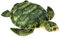 Wagner 6012 - Plüschtier Schildkröte - grau-grün - 55 cm lebensecht Plüsch Kuscheltier Stofftier