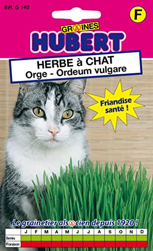 Herbe à Chat - Orge - 20 grammes