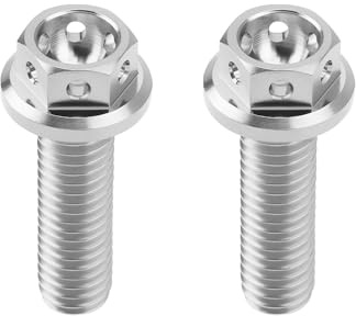 ECSiNG 2pz M6x20mm Bulloni A Testa Esagonale Flangiati Bullone Esagonale In Titanio Completamente Filettato Bulloni Forati Per Bici Sportive E Kart Filo Di Bloccaggio Argento