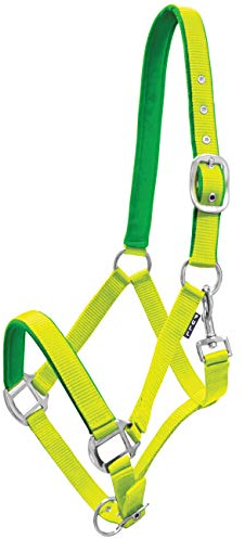 York Pferde Halfter Milo Nylonhalfter weiche Polsterung Stallhalfter Weidehalfter Reithalfter (Cob, limettengelb)