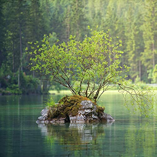 Tone of Silence