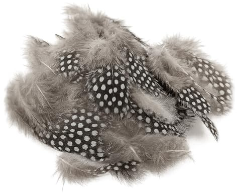 200 Stück Federn zum Basteln,4-12cm Perlhuhnfedern | Natürliche Gesprenkelte Federn,Bastelfedern für Traumfänger,Kopfschmuck,Masken DIY-Projekte