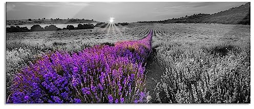 Pixxprint Glasbild Panorama, Wandbild aus Echtglas, Lavendelfeld in Frankreich, 100x40 cm, inkl. Aufhängung und Abstandshalter