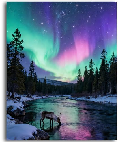 Malen Nach Zahlen Erwachsene 40×50cm Bastelset Diy Landschaft Nordlicht | Paint By Numbers Teenager Diy Set Basteln Kreatives Ölgemälde Geschenke Für Frauen Wohnzimmer Deko Wanddeko Home Dekoration