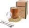 8Oz Stainless Steel Yerba Mate Gourd Set - Double-Walled Mate Cup with 2 Bombilla Straws, Cleaning Brush, BPA-Free Lid, Perfect for Hot & Cold Drinks