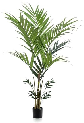 La Green Touch Palma Kentia Pianta Artificiale - Altezza 180 cm, Ø15 cm
