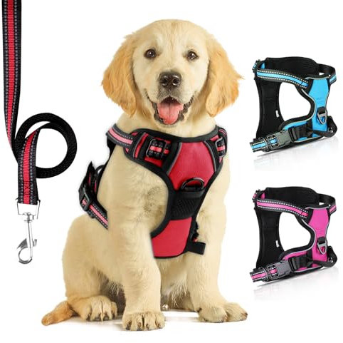 SIBOTER Hundegeschirr mit Hundeleine, Reflektierendes Hundegeschirr Kleine Hunde, mit Einfache Kontrolle Griff und Rückseite perfekt für Spaziergänge im Freien (Hellrot, M)