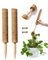 Sunnytree - 2 Stück Moosstab - Pflanzstab - 2 x 40 cm - Ausziehbar - Rankhilfe für Monstera und Kletterpflanzen - Geeignet für Zimmerpflanzen - Natürlicher Kokosstab