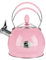 2.6L Stainless Steel Whistling Kettle with Heat Resistant Handle, Suitable for All Hob Types, Including Induction