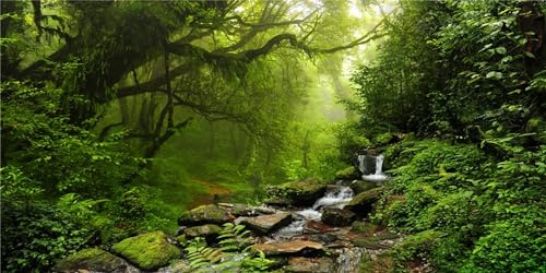 MIRRORANG 180x61cm Durable Vinyl Deep Forest Terrarium Hintergrund Tropisches Aquarium Hintergrund Foggy Grün Riesige Bäume Reptilien Lebensraum Hintergrund