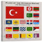 Nationalflaggen-Poster, Flaggen des Osmanischen Reiches und Abhängigkeiten, dekorative Leinwand, Wand- und Kunstbild, Gemälde, 70 x 70 cm