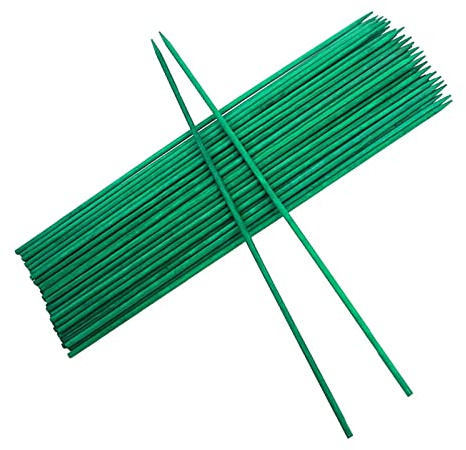 Lodoot Lot de 30 bâtons en bois vert pour décoration de plantes de Noël