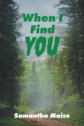When I Find You (Dangerous Finds Mystery)