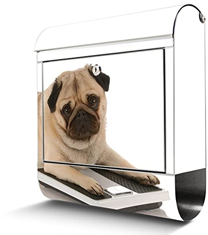 banjado® Briefkasten Edelstahl mit Motiv Mops 38x43x12cm & 2 Schlüssel - rostfreier Edelstahl Briefkasten mit Zeitungsfach - Postkasten A4 Einwurf inkl. Montagematerial