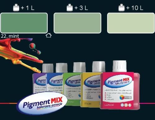WALL PAINT COLOURANT PIGMENT PAINT COLOUR INTERIOR & EXTERIOR DYE (Mint)