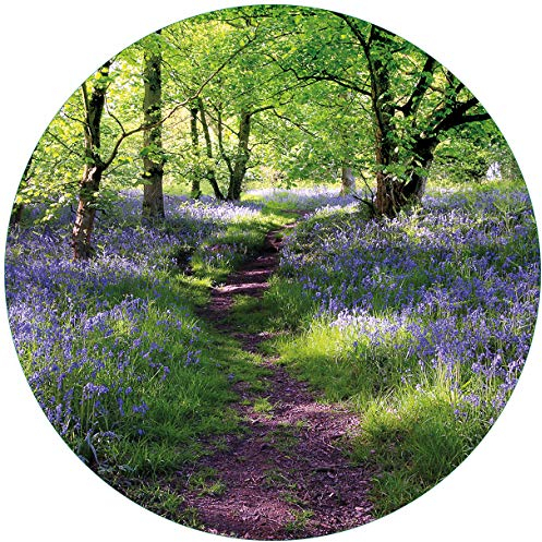 Wallario Glasbild rund Blaues Hasenglöckchen im Wald - Rund, 50 cm Durchmesser Wandbild Glas in Premium-Qualität: Brillante Farben, freischwebende Optik