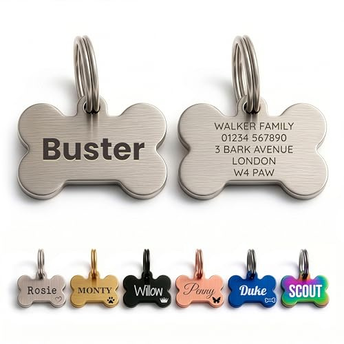 The Stately Hound Dog Tags for Pets Engraved UK, Silver Bone, Medium | Personalised Deep Engraved Name Tag, 2mm Thick Stainless Steel, Quiet & Waterproof, UK Legal ID, For Cat, Puppy & Dog Collars