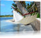 Pixxprint Malediven Palme Strand Sonne Bild, Größe: 120x80cm, Leinwandbild, fertig gespannt, Wandbild, Dekoration, Kunstdruck, kein Poster