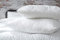 Abeil - Lot de 2 Oreillers Voluptueux 60 x 60 cm - Moelleux - Enveloppe Microfibre Matelassée - Lavable en Machine - Certifiés Oeko-Tex